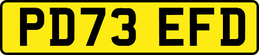 PD73EFD