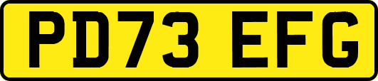 PD73EFG