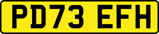 PD73EFH