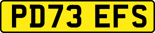 PD73EFS