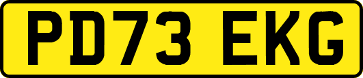 PD73EKG