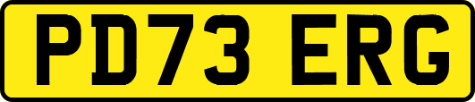 PD73ERG