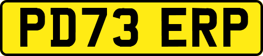 PD73ERP