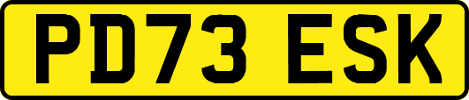 PD73ESK