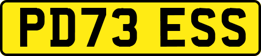 PD73ESS