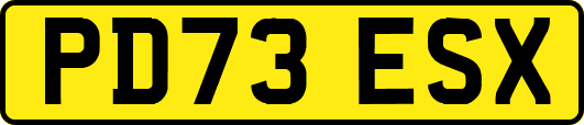 PD73ESX