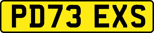 PD73EXS