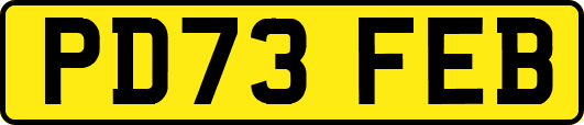 PD73FEB