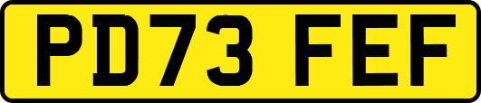 PD73FEF