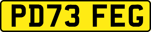 PD73FEG
