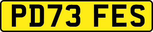 PD73FES