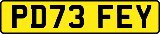 PD73FEY