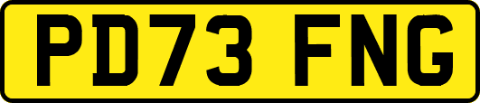 PD73FNG
