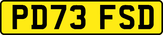 PD73FSD