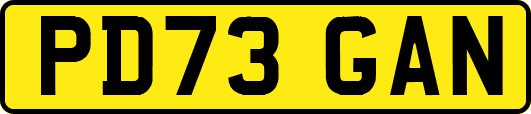 PD73GAN
