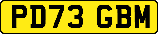 PD73GBM