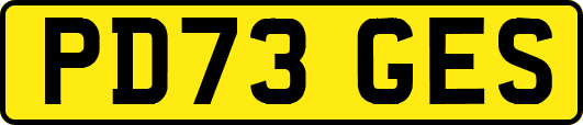 PD73GES