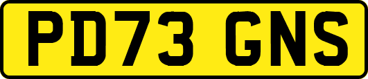 PD73GNS