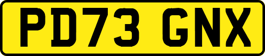 PD73GNX