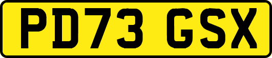PD73GSX