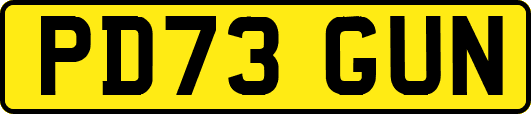 PD73GUN