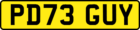PD73GUY