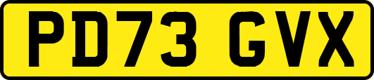PD73GVX