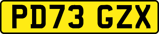 PD73GZX