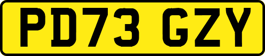 PD73GZY