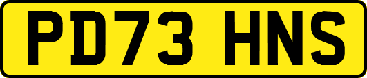 PD73HNS