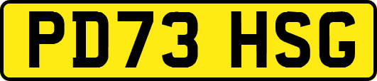 PD73HSG