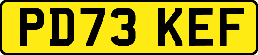 PD73KEF
