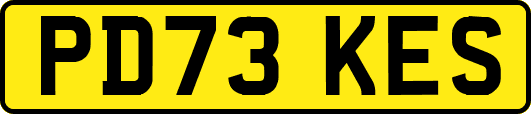PD73KES