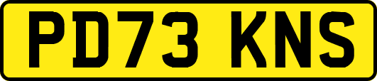 PD73KNS