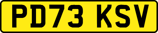PD73KSV