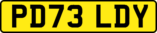 PD73LDY