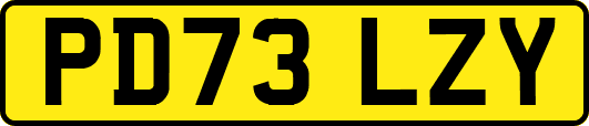 PD73LZY