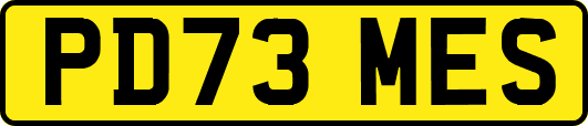 PD73MES