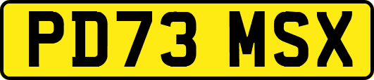 PD73MSX