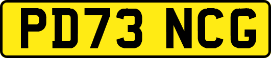 PD73NCG