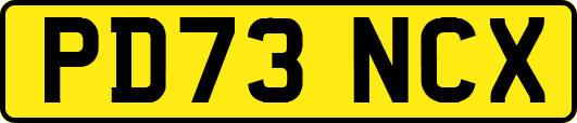 PD73NCX