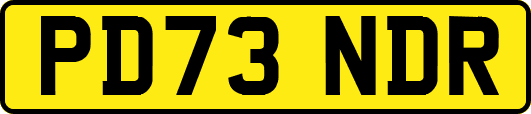 PD73NDR