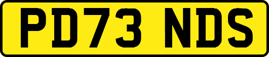 PD73NDS