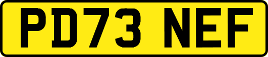 PD73NEF
