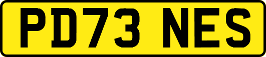 PD73NES