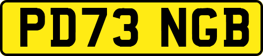PD73NGB