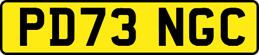 PD73NGC