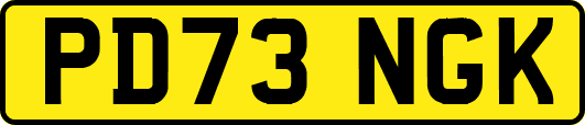 PD73NGK
