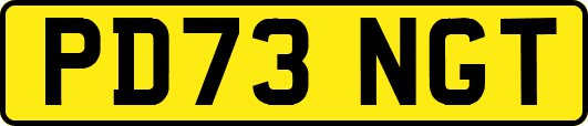 PD73NGT
