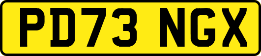 PD73NGX